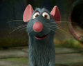 Ratatouille-ratatouille-8792110-120-96.jpg