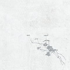 51W2JACYH1L._SL500_AA240_.jpg