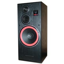 CER1001t.jpg