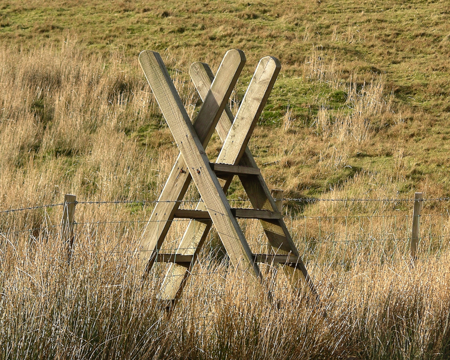 Ladder_stile_Snowdonia.jpg