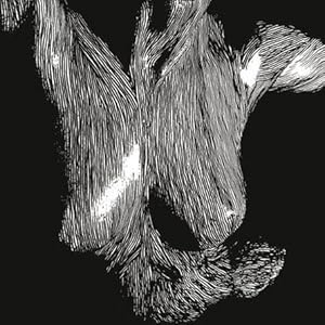 51wohCBAYfL._SL500_AA300_.jpg