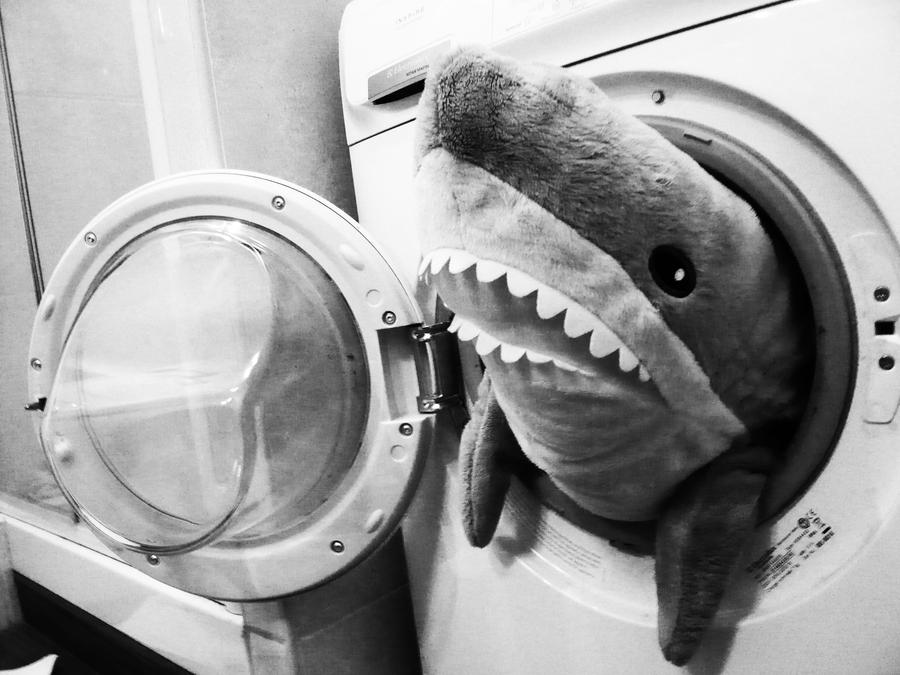 Shark_in_the_washing_machine___by_Samain.jpg