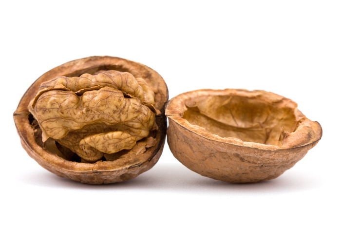 walnut2.jpg