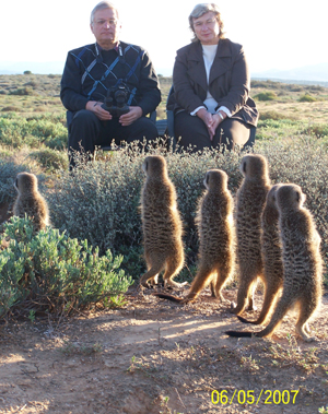 meerkat%20suricate%20meerkats%20suricates%20tour%20r557.jpg