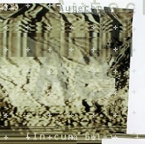 41NXH8X7K9L._SX300_.jpg