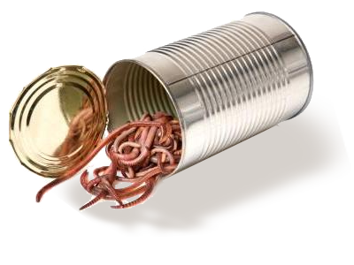 can-of-worms.png