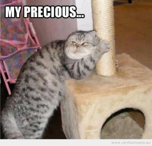 funny-picture-cat-my-precious-555x535-518x500.jpg