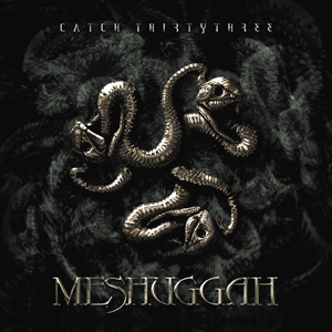 Meshuggah_-_Catch_Thirtythree_-_cover.jpg