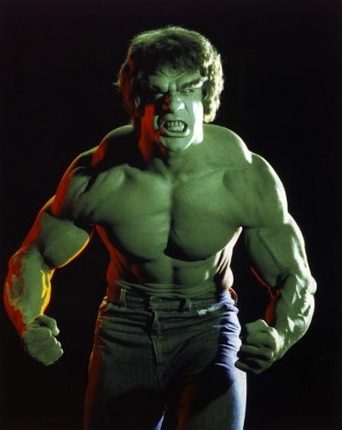 The-Incredible-Hulk-image-the-incredible-hulk-36385694-500-628.jpg