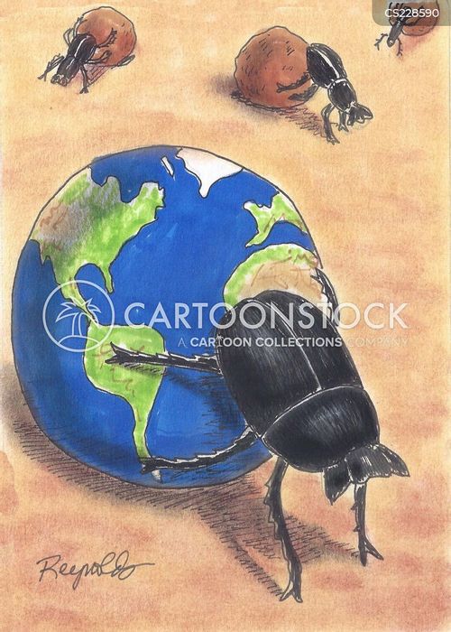 animals-dung_beetle-globe-dung_beetles-scarab_beetles-scarabs-dren533_low.jpg